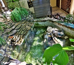 Одноместный номер в Delsochi