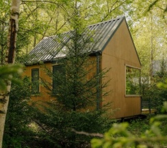 Dacha / Ариэтти в ЗвенДзен