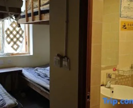 Четырёхместный номер Standard в Up In The Air Youth Hostel