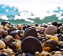 Трехместный в Хурма и Мимоза