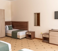 Четырехместный Стандарт в Можжевеловый парк