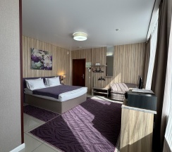 Номер стандарт улучшенный в Central Hotel