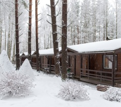 номер "Стандарт" в Золотая долина