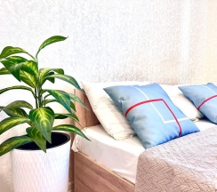 1-комнатные апартаменты студия Южнодомодедовская 17 в Runway Apartments на улице Южнодомодедовская 17