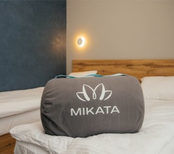 Стандарт улучшенный - оснащен оборудованием для малоподвижных граждан в Игуана