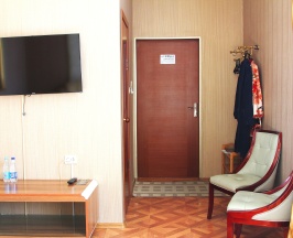 Полулюкс в Артём Plaza