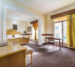Одноместный номер Standard в OYO 120 Concord International Hotel