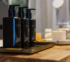 Люкс Премьер (Lux Premier) в History Boutique Hotel&Spa