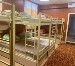 Кровать в общем номере (общая ванная комната) в Баттл