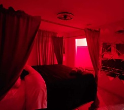 Номер Standard с видом на сад в Austin Uncommon Room Rentals