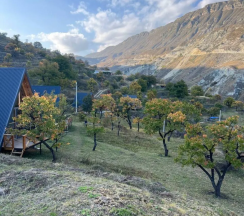 Семейный номер в Harikolo escape