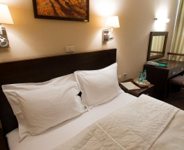 Номер стандарт с 1 двуспальной кроватью в Hotel Kirov