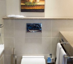 Двухместный номер Стандарт 2 отдельные кровати в Holiday Inn Almaty