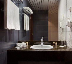 Бизнес класс комфортный с двумя кроватями/ или одной широкой кроватью и диваном-кроватью в Бенефит Плаза