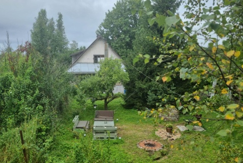 Приморск: Коттедж Олта