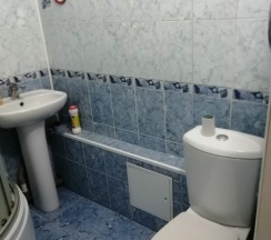 Двухместный просторный номер в Родина