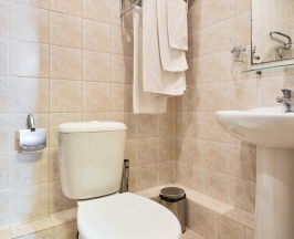 Номер стандарт с 1 односпальной кроватью в Термы Плюс