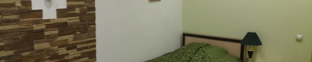 1-местный номер стандарт (с завтраком) в Медвежий угол