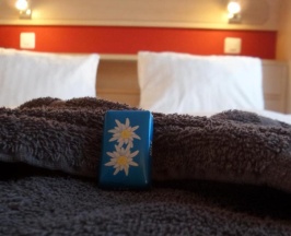 Двухместный номер Standard с видом на горы 2 отдельные кровати в Hotel Europa
