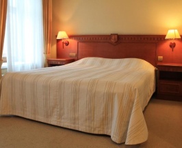 Стандартный двухместный номер в Golden Hotel