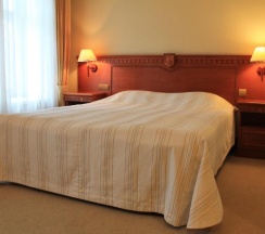 Стандартный двухместный номер в Golden Hotel