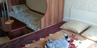 Ярославль: Апартаменты Квартира однокомнатная в самом центре Ярославля