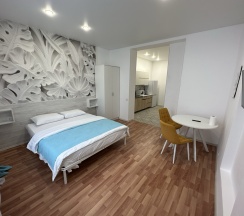 1-комнатные апартаменты студия с 1 двуспальной кроватью в Баринн