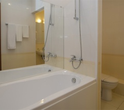 Стандарт улучшенный DBL Бизнес в Пионер люкс