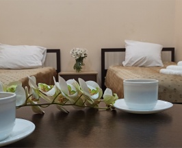 Трехместный номер (стандартный трехместный номер) в Spa-hotel Plaza