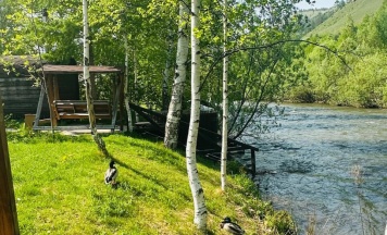 Дом с мангальной зоной в Базаиха river