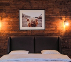 номер стандартный 208 в Панорама