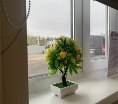 Улучшенный 3-х местный семейный номер в Пол&Пути