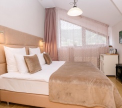 Номер Standard в Губернский