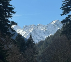 Стандарт Улучшенный в Potap