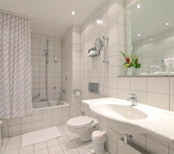 Одноместный номер Standard в Hotel Viktoria