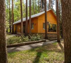 Коттедж-Студио в Салют