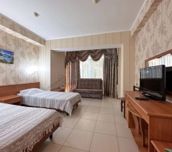 Двухместный номер Standard (2 отдельные кровати) в Holiday