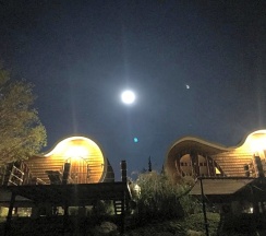 Одноместный номер Standard двуспальная кровать в Kiripura Resort