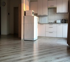 Апартаменты улучшенные Почтовый переулок, 2 (мансарда) в Кусто