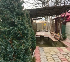 Коттедж в Ковчег у реки