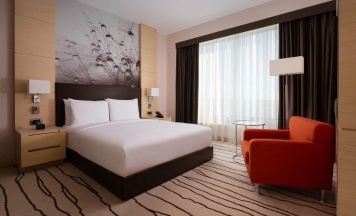Номер стандарт семейный с 1 двуспальной кроватью в DoubleTree by Hilton Moscow-Vnukovo Airport