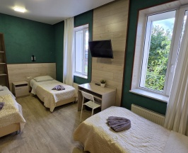 Трехместная комната с общей ванной в Орловский дом