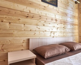 Двухместный номер Standard двуспальная кровать в Сопка