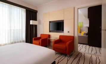 Номер стандарт семейный с 1 двуспальной кроватью в DoubleTree by Hilton Moscow-Vnukovo Airport