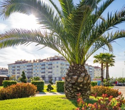 Стандарт 2-местный (Standard Twin/Double) в Спортивный Квартал