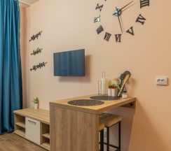 Студия 25 кв м Артлайн в SalutApart 17, Торфяная дорога 17/6