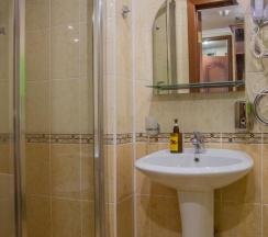 1-местный номер стандарт (корпус 2) в Зеленая роща