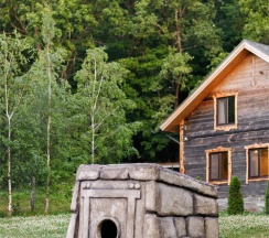 Дом в лесу в Odin House