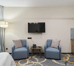 Двухместный номер Студио двуспальная кровать в Willing Hotel