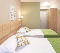 Санаторий - Стандартный двухместный номер с двумя раздельными кроватями в Полисть